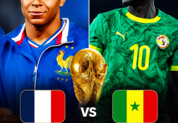 france vs senegal
