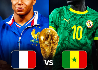 france vs senegal